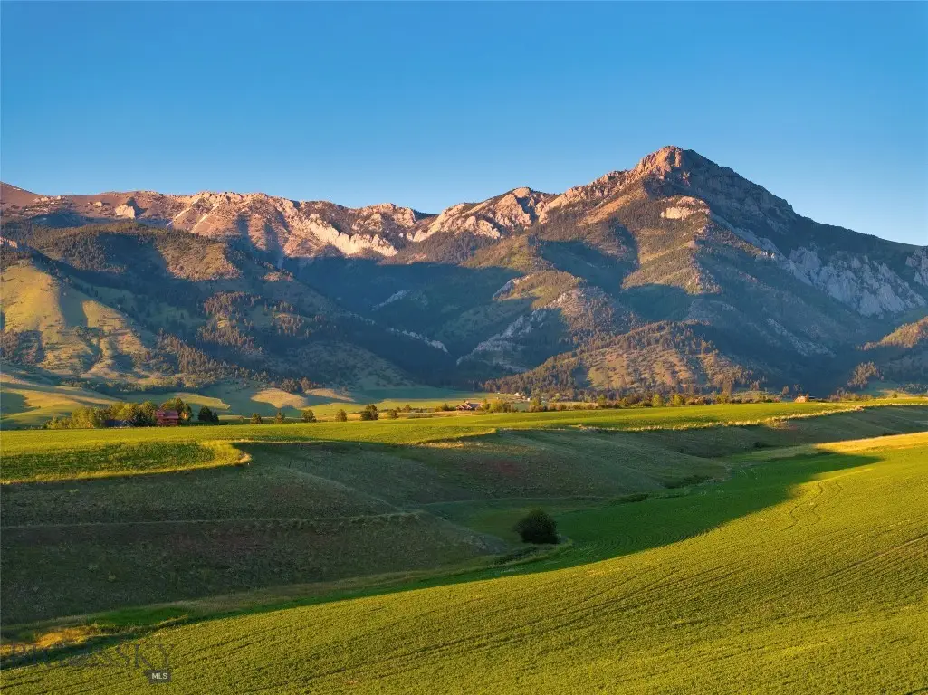 TBD Walker/forswall, Belgrade, MT 59714 - #1