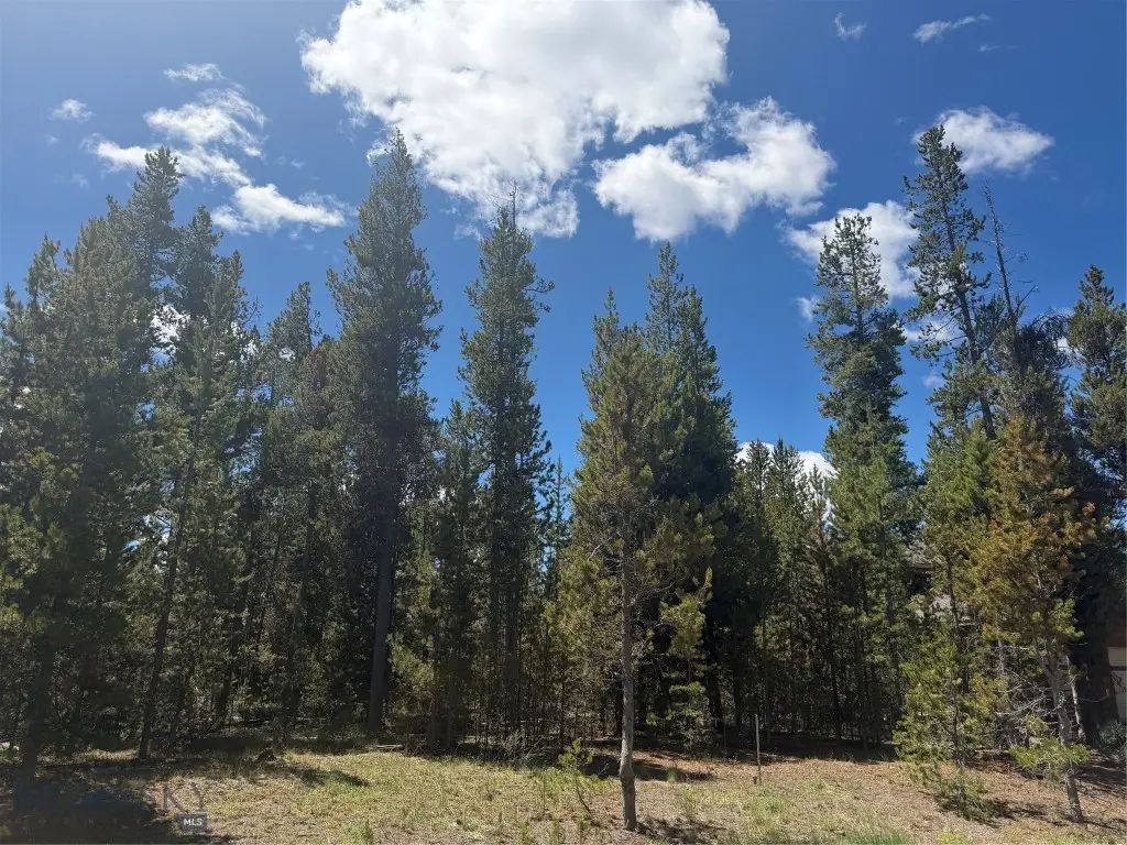 612 Apollinaris Avenue, West Yellowstone, MT 59758 - #1