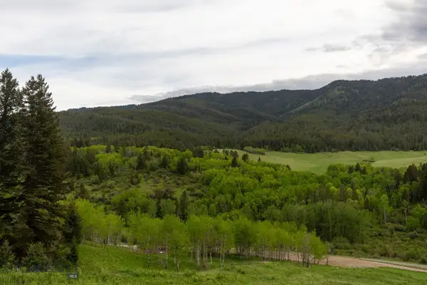 TBD Trail Creek Road Lot 3, Bozeman, MT 59715