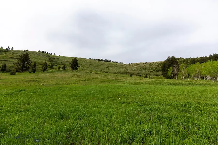 TBD Trail Creek Road Lot 3, Bozeman, MT 59715 - #3