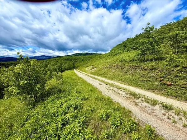 Lot 8 Arlie Tract, Babb, MT 59411