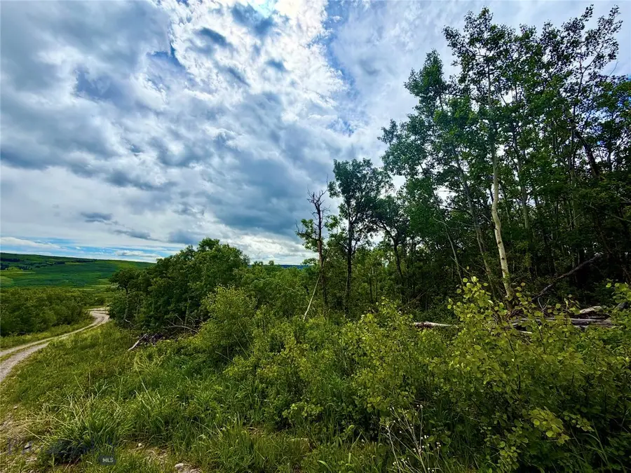 Lot 8 Arlie Tract, Babb, MT 59411 - #3