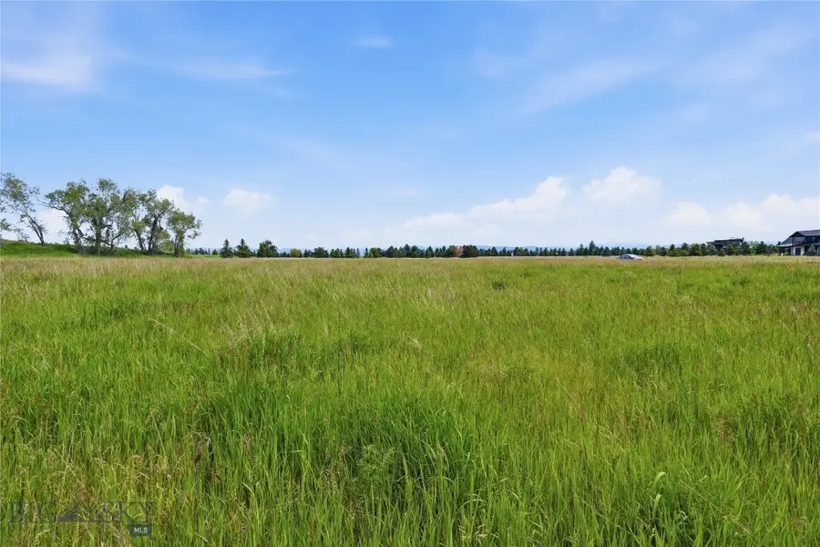 TBD Wavy Leaf Way, Bozeman, MT 59718 - #3