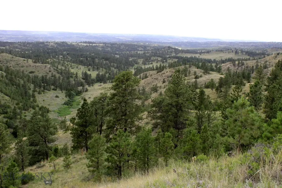 NHN Lone Rock Canyon Lane, Hysham, MT 59038 - #3