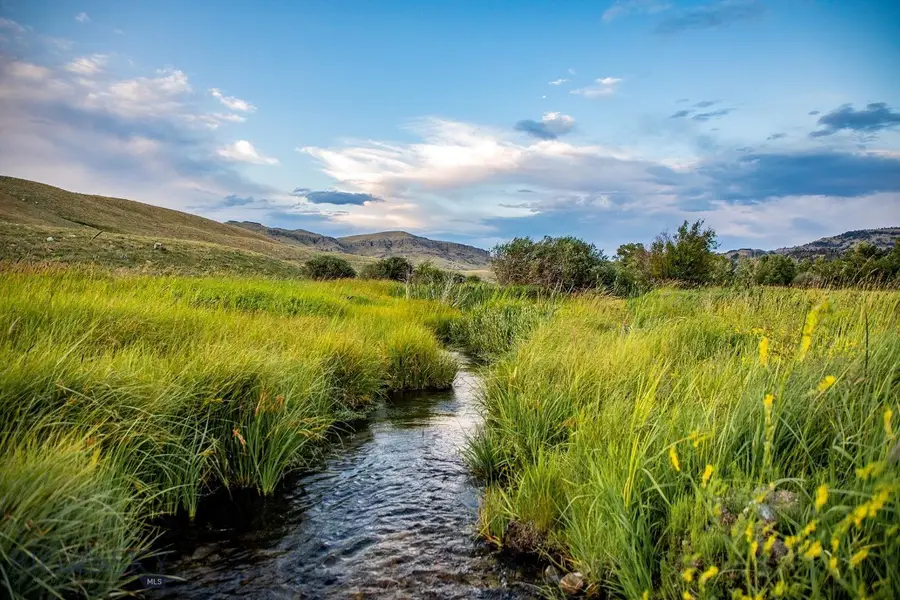 8 West Fork Road, Nye, MT 59061 - #3