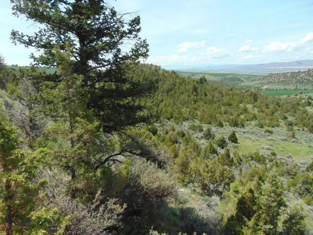 TBD Lone Wolf Trail, Three Forks, MT 59752 - #1