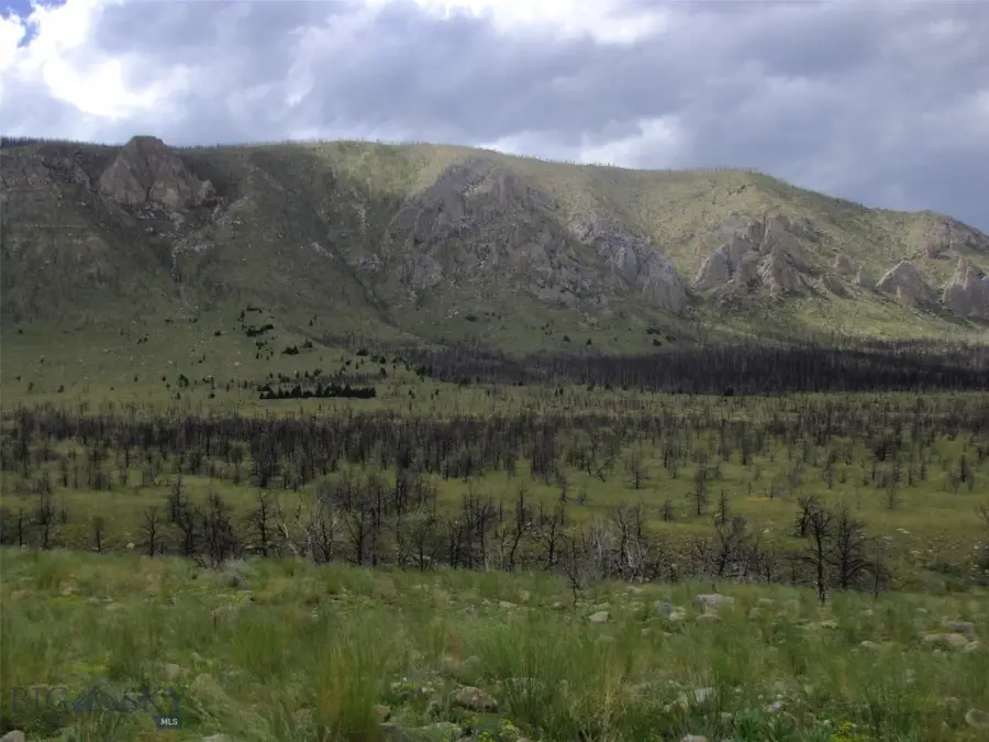 nhn Ranger Way, Red Lodge, MT 59068 - #2