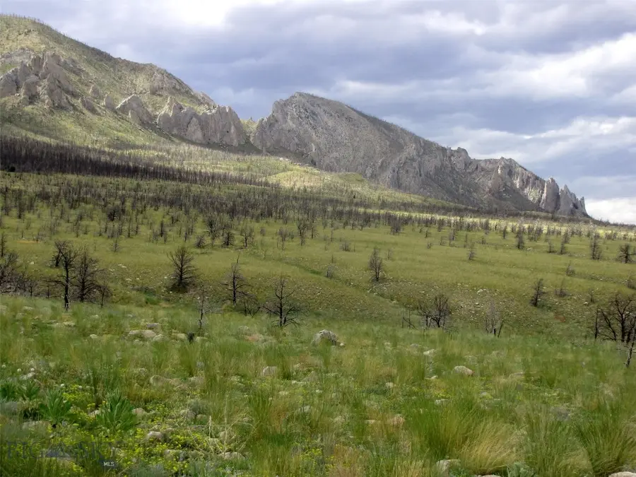 nhn Ranger Way, Red Lodge, MT 59068 - #3