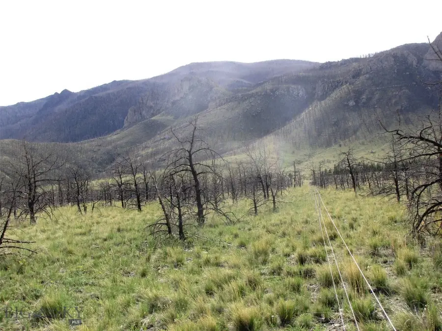 tbd Ranger Way, Red Lodge, MT 59068 - #3