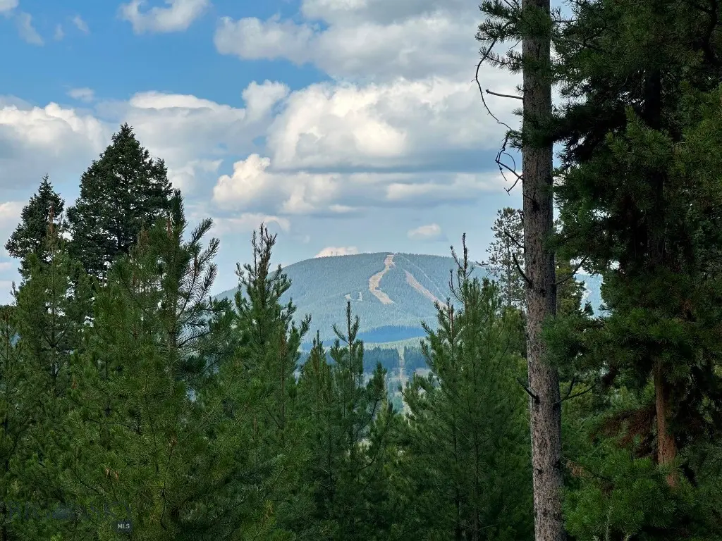 13 Discovery View Lane, Anaconda, MT 59711 - #1