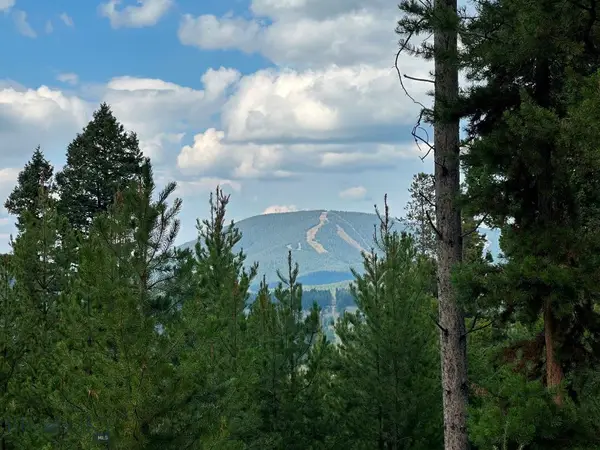 13 Discovery View Lane, Anaconda, MT 59711