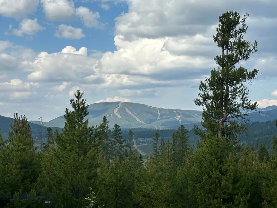 13 Discovery View Lane, Anaconda, MT 59711 - #2
