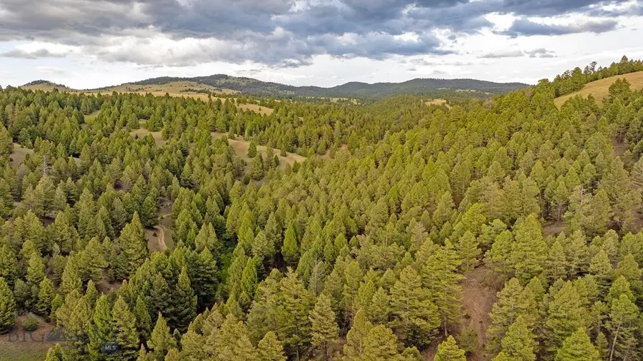 TBD Perkins Gulch Road, Anaconda, MT 59711 - #2