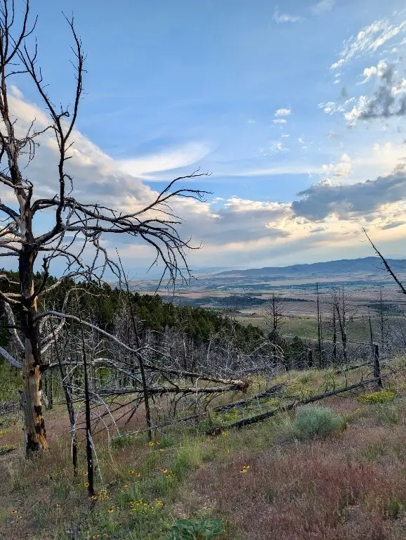 Lot 397 Tbd Lightning Ridge Trail, Three Forks, MT 59752 - #2