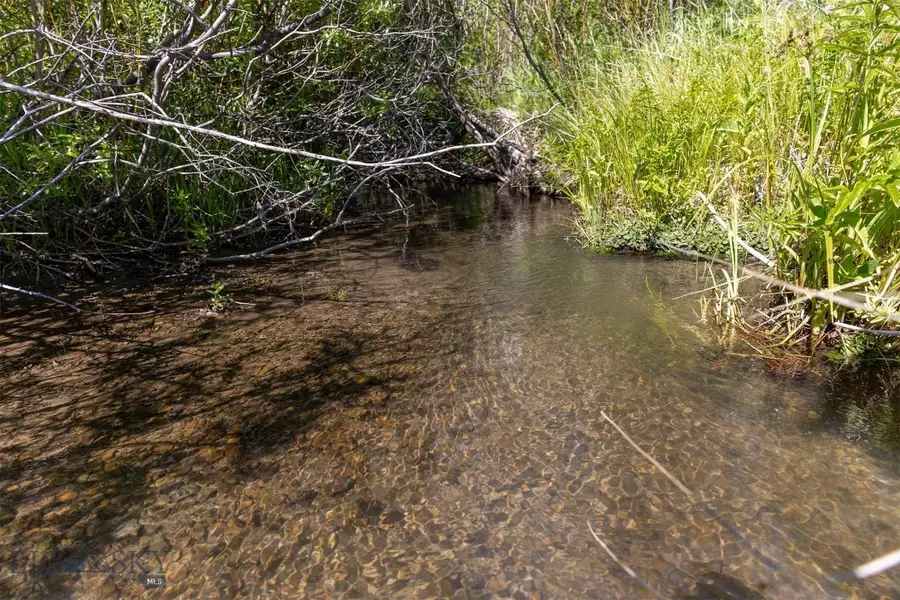 NHN Skunk Creek, Bozeman, MT 59715 - #2