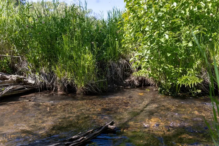 NHN Skunk Creek, Bozeman, MT 59715 - #3