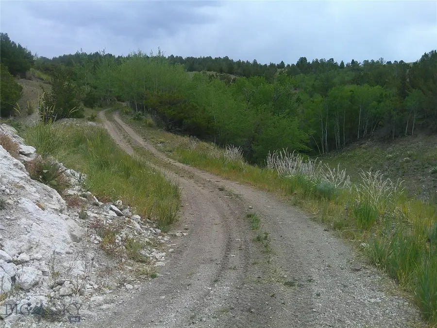69 Sleepy Hollow Drive, Anaconda, MT 59711 - #2