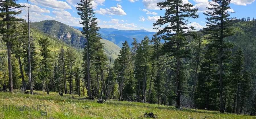 4 Tract Garnet Range, Drummond, MT 59832 - #3