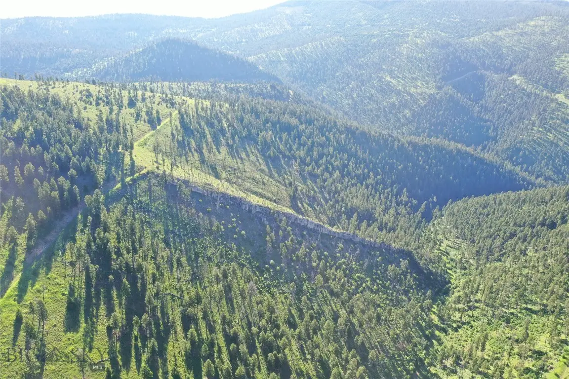 5 Tract, Garnet Range, Drummond, MT 59832 - #1