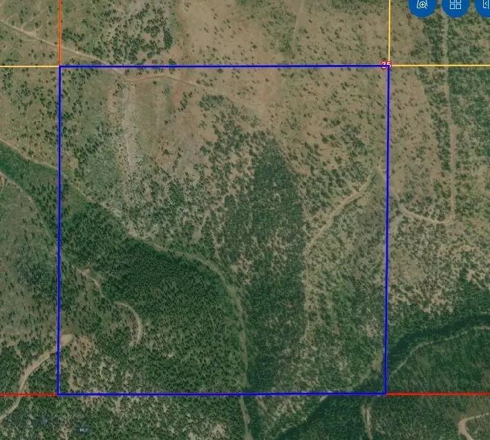 5 Tract, Garnet Range, Drummond, MT 59832 - #3