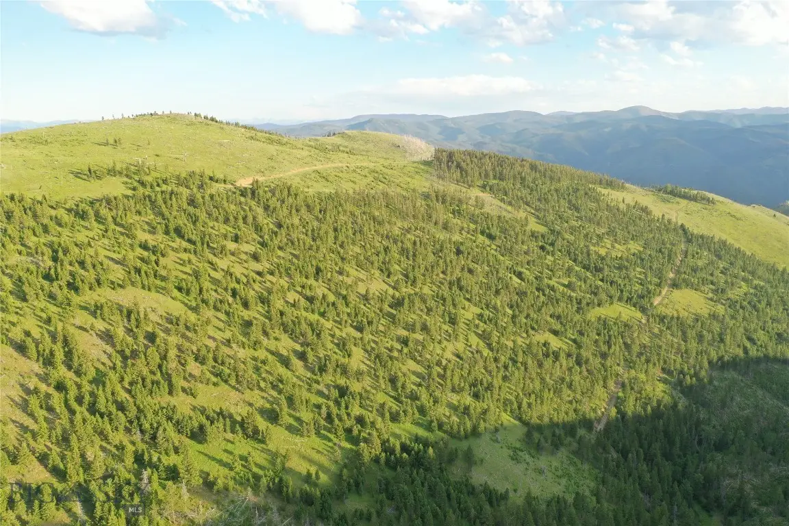 6 Tract, Garnet Range, Drummond, MT 59832 - #1