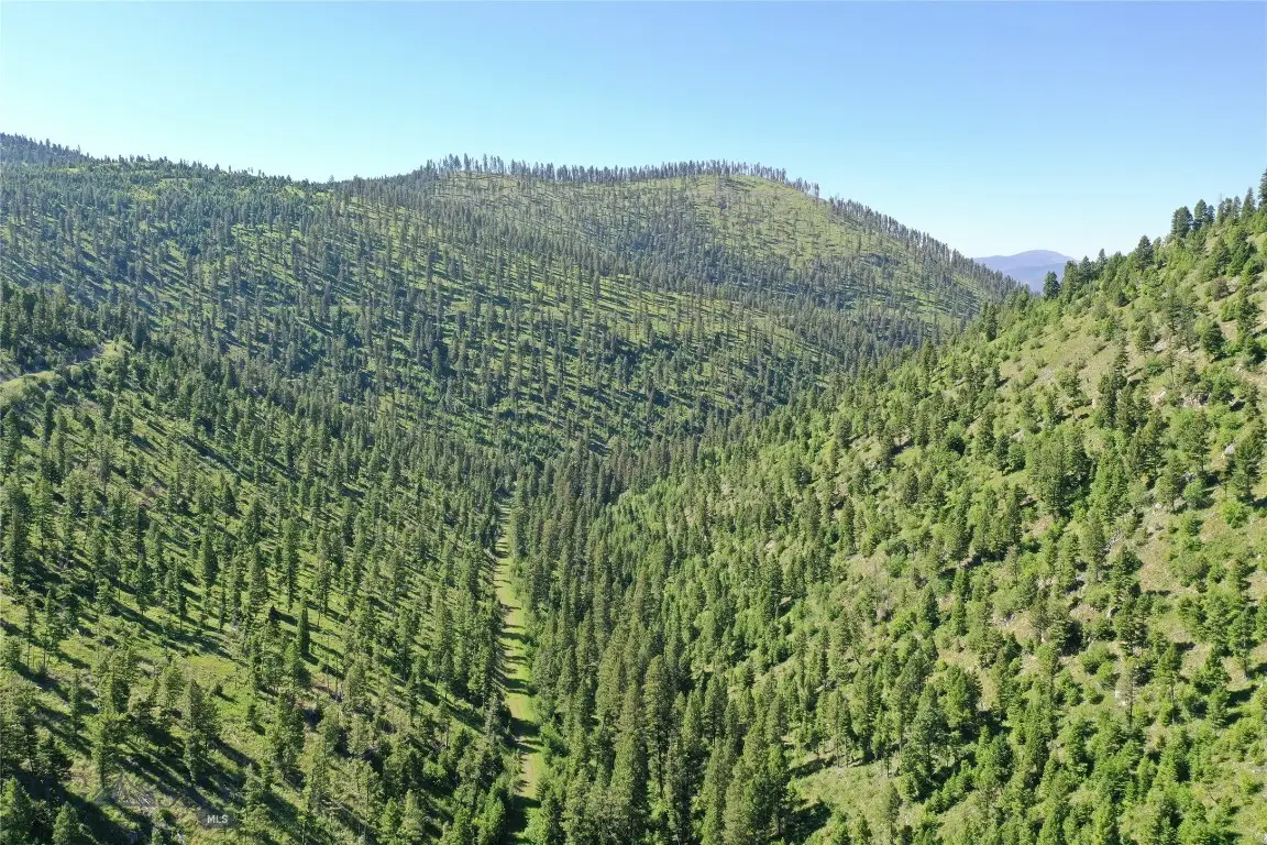 7 Tract, Garnet Range, Drummond, MT 59832 - #1