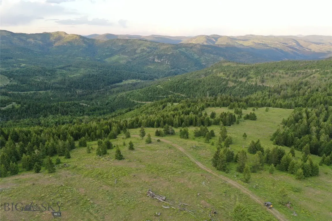 11 Tract, Garnet Range, Drummond, MT 59832 - #1