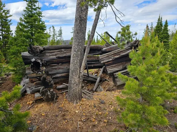 Climax Bullion Parks Road, Elliston, MT 59728