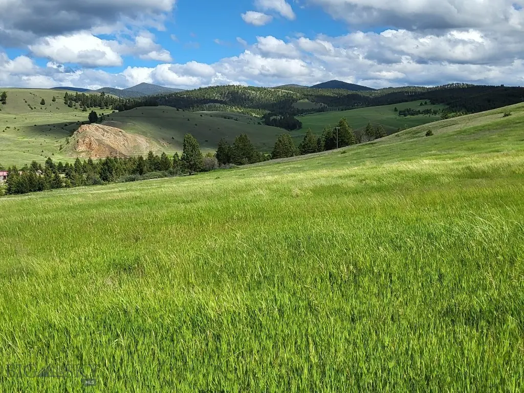 65 Gold Coin Road, Hall, MT 59837 - #1