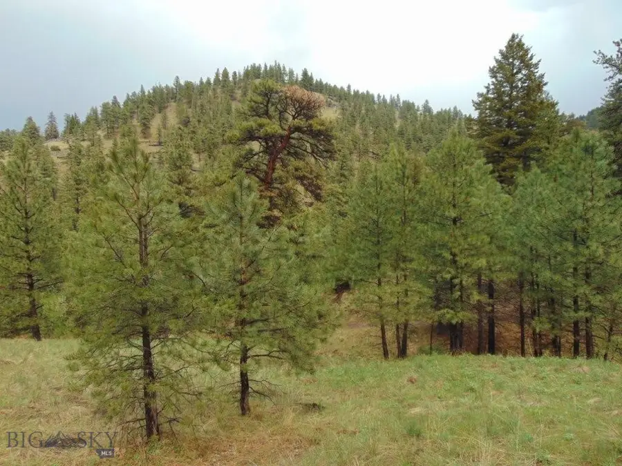 TBD Shady Springs Lane, Cascade, MT 59421 - #2