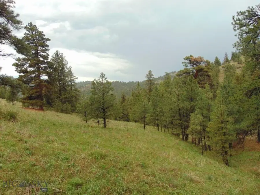 TBD Shady Springs Lane, Cascade, MT 59421 - #3