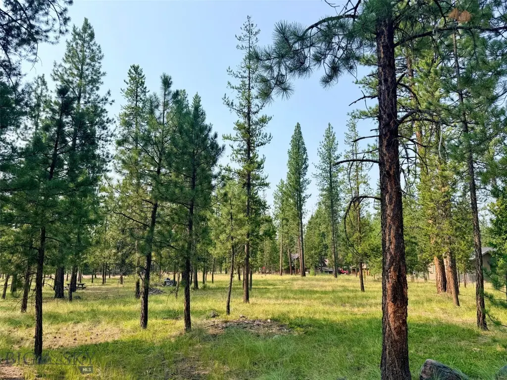 723 Timberlane, Seeley Lake, MT 59868 - #1