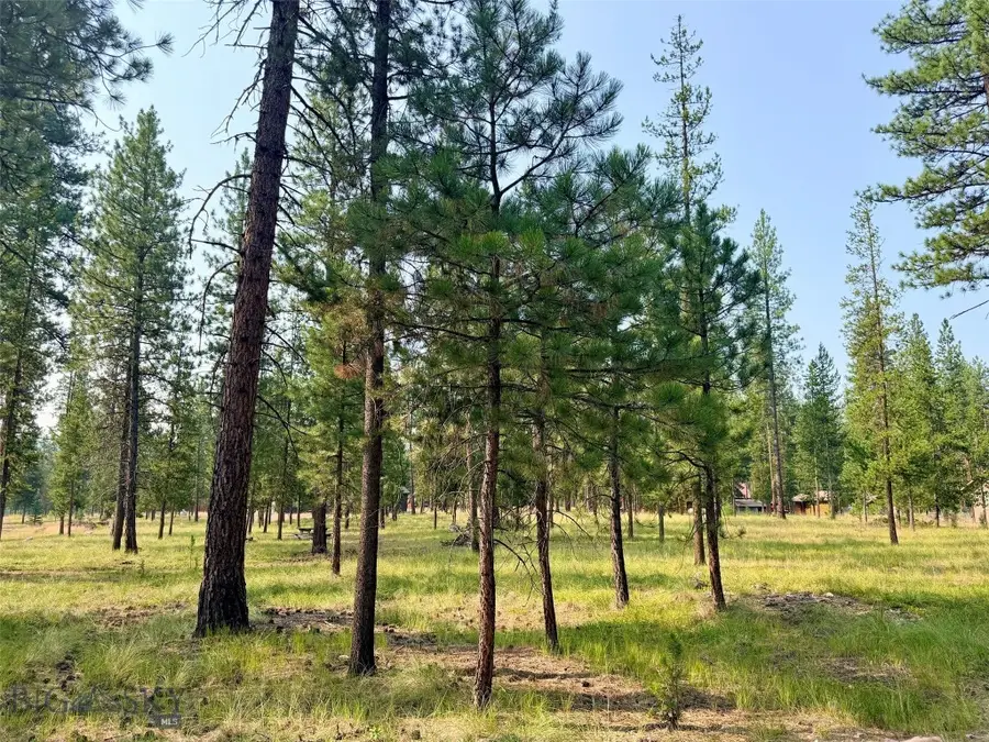 723 Timberlane, Seeley Lake, MT 59868 - #3