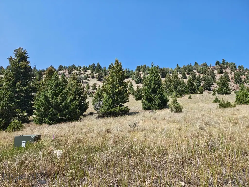 985 Tenderfoot Trail, Ramsay, MT 59748 - #1