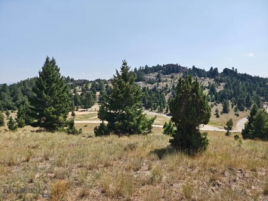 985 Tenderfoot Trail, Ramsay, MT 59748 - #3