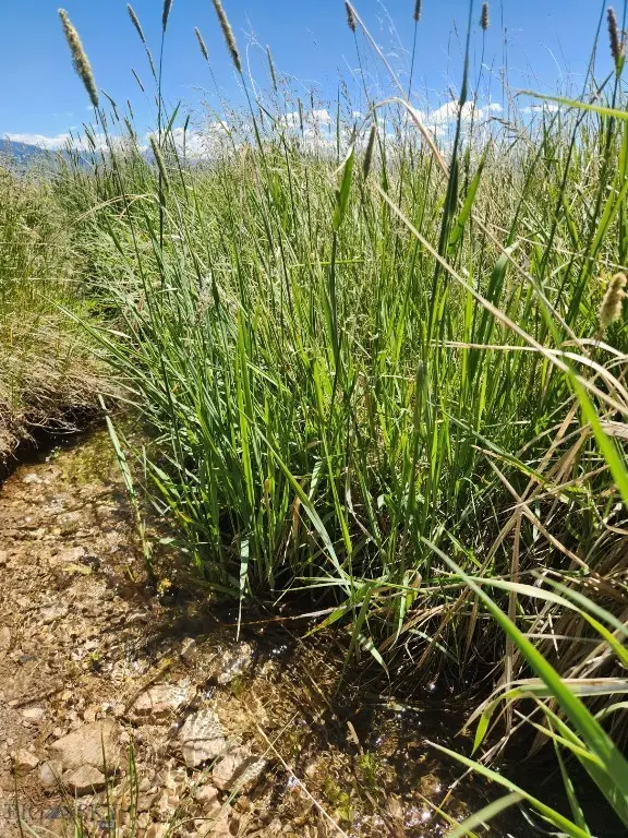 Lot 11 Shining Mountains 2, Ennis, MT 59729 - #3