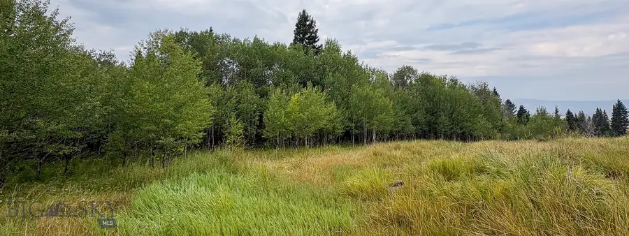 TBD S Valley Road, Lima, MT 59739 - #2