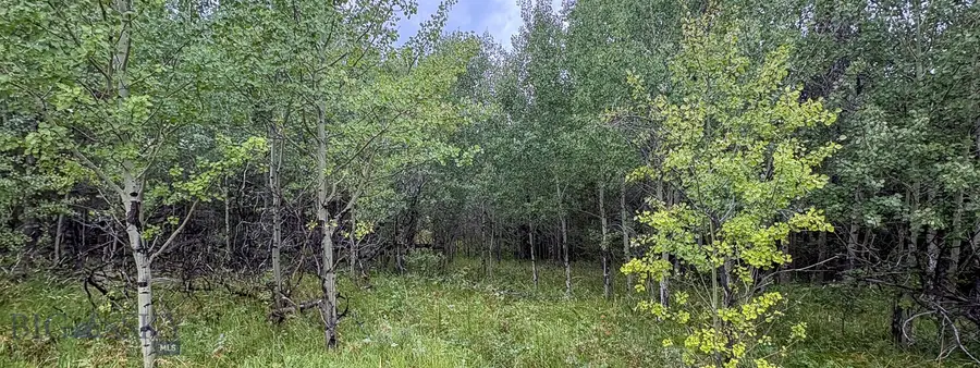 TBD S Valley Road, Lima, MT 59739 - #3