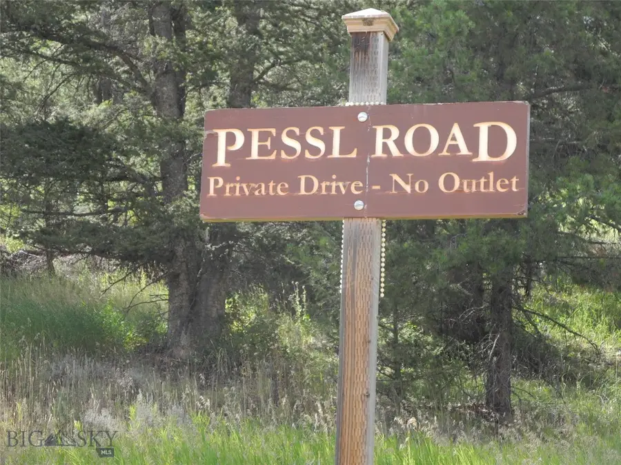 TBD Appaloosa Trail, Gallatin Gateway, MT 59730 - #2