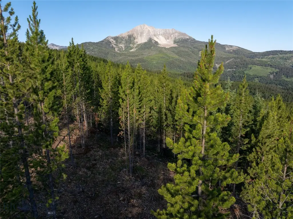 TBD Sawtooth Road Lot #12, Big Sky, MT 59716 - #1