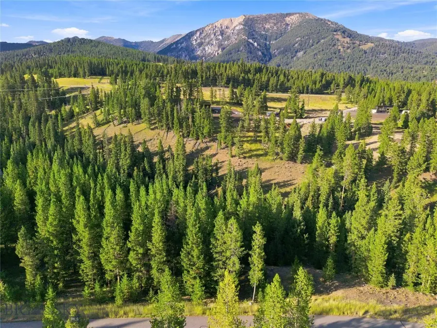 25 Little Spike, Big Sky, MT 59716 - #2