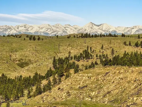 659 Deadmans Canyon Road, Reed Point, MT 59069