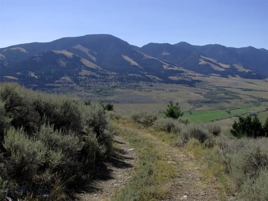 tbd Grizzly Meadows Road, Emigrant, MT 59027 - #2