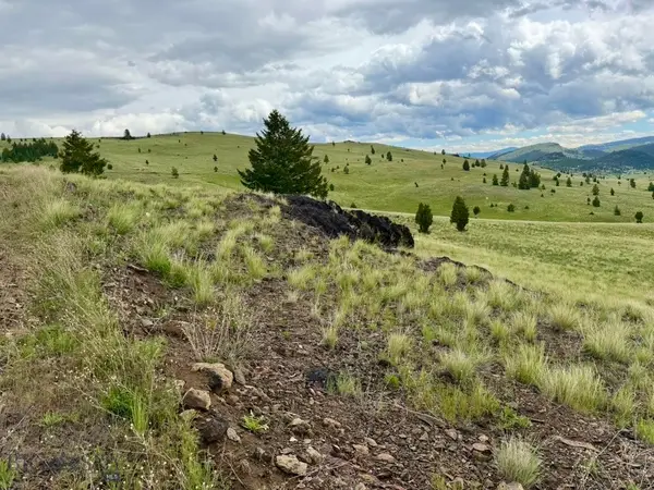 3072 Wildhorse Meadow, Ramsay, MT 59748