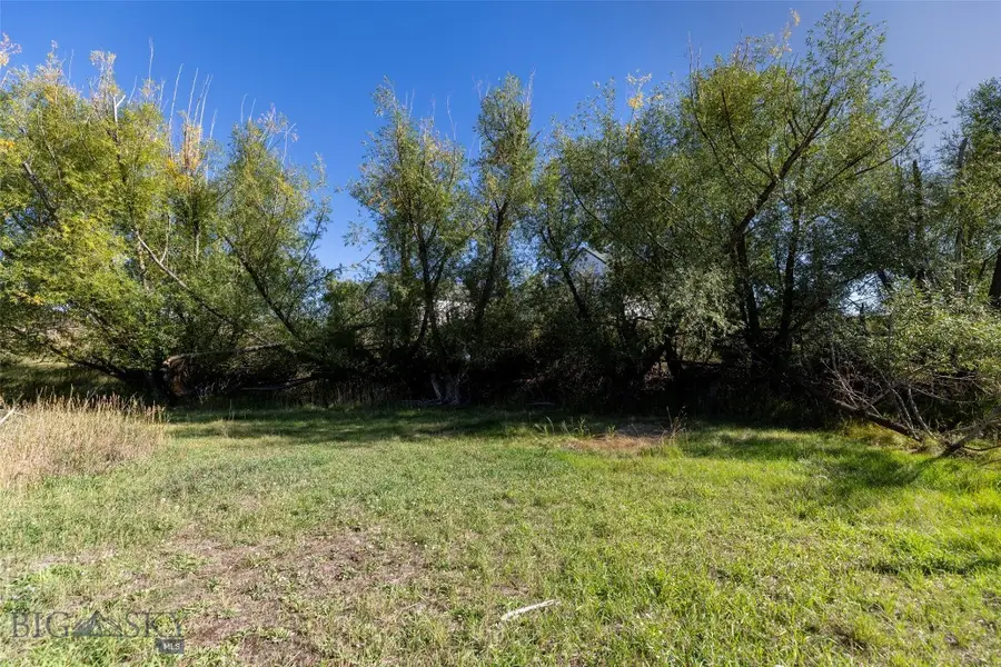 TBD 2nd Avenue, Clyde Park, MT 59018 - #3