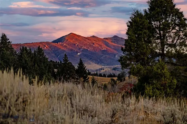 NHN Kelly Canyon Road, Bozeman, MT 59715