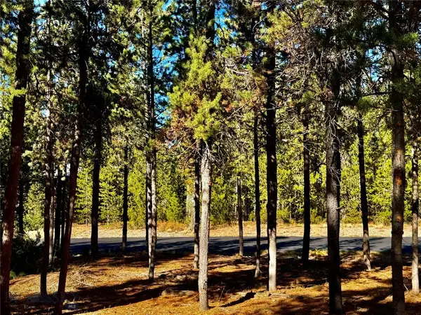 612 Apollinaris Avenue, West Yellowstone, MT 59758