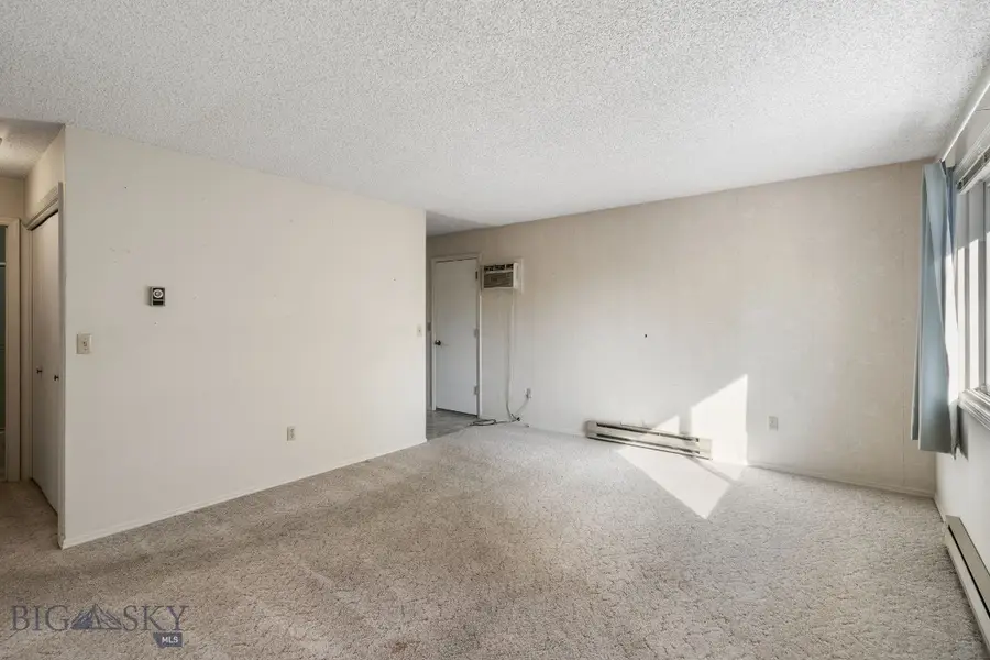 1120 W Babcock #31, Bozeman, MT 59715 - #3