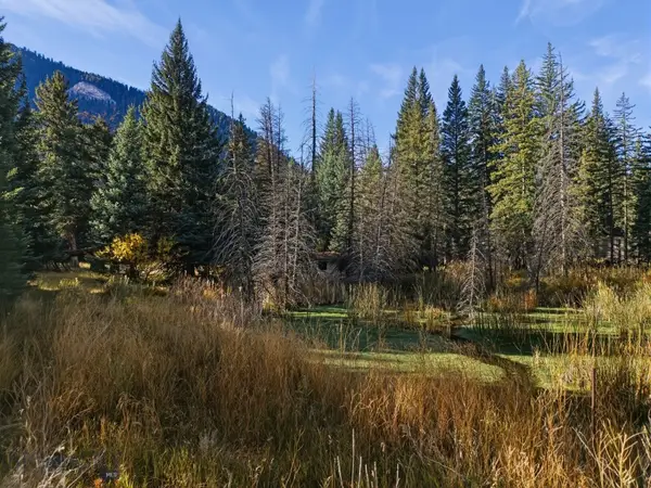 48121 Gallatin, Big Sky, MT 59730