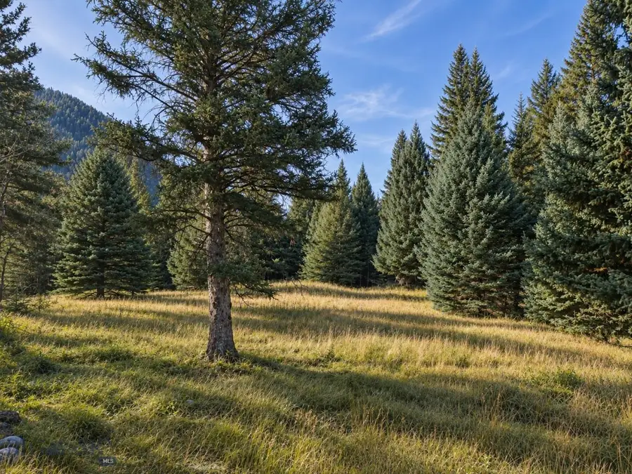 48121 Gallatin, Big Sky, MT 59730 - #3